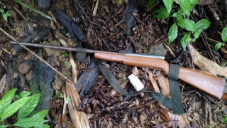 Mang súng săn “ém mình” trong khu bảo tồn sao la