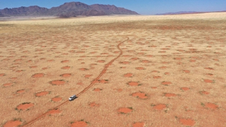 Thông điệp của “vòng tròn thần tiên”