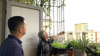 Gần 257 nghìn nhà dân ở Hải Phòng đã tháo dỡ “chuồng cọp”