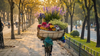 Nhớ mùa thu Hà Nội