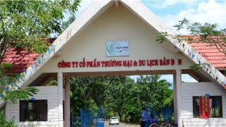 Khởi tố nguyên Tổng giám đốc Công ty TNHH MTV cao su Đắk Lắk