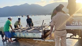 SOS tiêu thụ động vật hoang dã