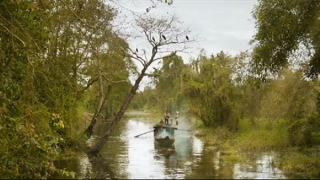 Chiếu "Đất rừng phương Nam" bản sửa lời thoại sớm hơn dự kiến