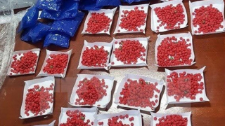 Hơn 2000 viên ma tuý tổng hợp ngụỵ trang trong hộp cháo sen Bát Bảo