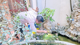 Hà Nội ghi nhận 136 ổ dịch sốt xuất huyết trong một tuần