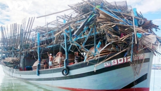 Thủ tướng chỉ đạo khẩn trương tìm kiếm, cứu nạn ngư dân trên 2 tàu cá bị chìm