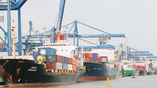 Hoa Kỳ tiếp tục là thị trường xuất khẩu lớn nhất