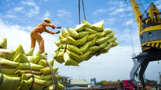 Xuất khẩu gạo 9 tháng thu về gần 3,54 tỷ USD