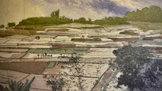 “Sắc dó 4” của họa sĩ Vũ Thái Bình