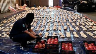 Khủng hoảng “ma dược” captagon và mối lo của Trung Đông - châu Âu