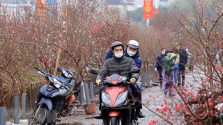 Trình phương án nghỉ Tết Nguyên đán 2024 từ 29 tháng Chạp