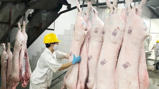 Kiểm soát chặt việc nhập khẩu sản phẩm chăn nuôi