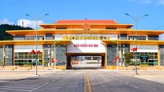 Kiến nghị dừng thí điểm nhập khẩu dược liệu qua cửa khẩu Chi Ma