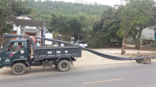 CSGT Thanh Hoá xử lý gần 3.000 trường hợp vi phạm kích thước thành thùng