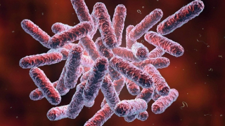 Sở Y tế Quảng Nam chỉ đạo “nóng” sau ca tử vong do bệnh Whitmore