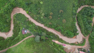 Cả 4 du khách tử nạn ở Làng Cù Lần là người Hàn Quốc