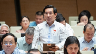 Đề nghị phân nhóm "sim số đẹp", đấu giá để tăng thu ngân sách