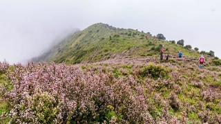 Chinh phục đỉnh Tà Chì Nhù trong mùa hoa chi pâu
