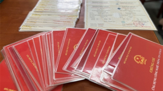 An Giang: Khởi tố thêm 4 đối tượng trong đường dây làm giả văn bằng, chứng chỉ