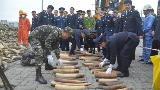 Hiệu quả trong phối hợp thực thi Luật Cảnh sát biển