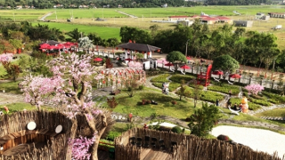 Phú Yên chậm xử lý dứt điểm vi phạm tại nhiều cơ sở du lịch tự phát