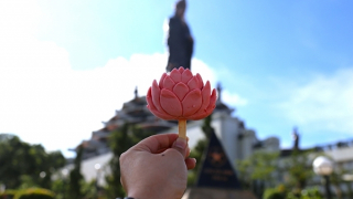 Độc lạ cây kem trên núi Bà Đen