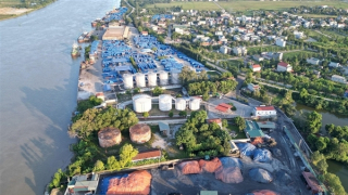 Gam màu sáng trong bức tranh  thu hút… “đại bàng” (Kỳ 4)