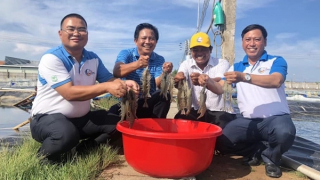 Về xứ Dừa, nghe chuyện nông dân tỷ phú…