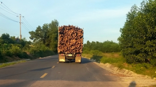 Quảng Nam kêu gọi nhân dân chung tay đảm bảo trật tự an toàn giao thông