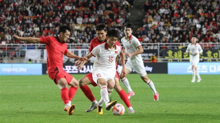 V.League 2023/2024 và hiệu ứng từ HLV Troussier