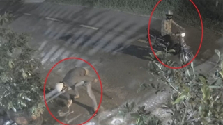 Con trai nợ tiền đá gà trực tuyến, nhà mẹ 5 lần bị tạt sơn "khủng bố"