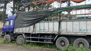 Tìm chủ sở hữu xe ô tô sử dụng giấy tờ giả