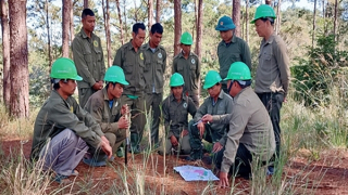 Kết quả nổi bật trong triển khai chi trả dịch vụ môi trường rừng ở Lâm Đồng