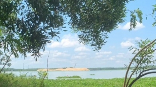 Lật ghe khi hái bông súng trên sông, 3 người tử vong