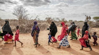 Hệ lụy toàn cầu từ cuộc xung đột Nga-Ukraine