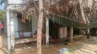 Cháu bé tử vong thương tâm do bị trâu giẫm đạp