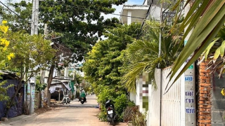 Du khách nước ngoài rơi từ tầng 2 khách sạn xuống đất tử vong