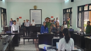 Cựu giáo viên lĩnh án 12 năm tù vì lừa đảo