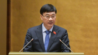 Người Việt ở nước ngoài sẽ được mở rộng quyền về đất đai như trong nước?