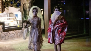 Cấm hóa trang Halloween trên tàu điện