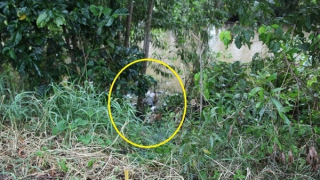 Tìm tung tích nạn nhân tử vong dưới kênh Bà Giải