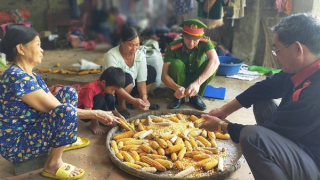 Điểm sáng Phong Sơn