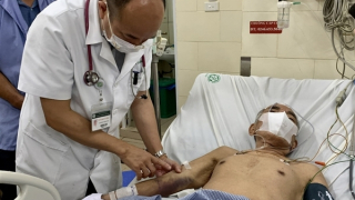 Hà Nội chưa quá tải điều trị sốt xuất huyết