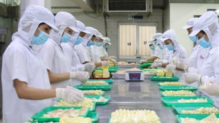 Doanh nghiệp cần số lượng lớn lao động để sản xuất cuối năm