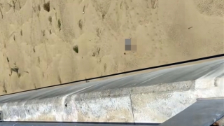 Người đàn ông bị bệnh tâm thần nhảy cầu tử vong