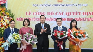 Tổ chức lại Báo Điện tử Dân trí và Báo Lao Động và Xã hội