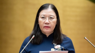 Tòa án thu thập chứng cứ có thể sẽ không bảo đảm nguyên tắc khách quan, vô tư