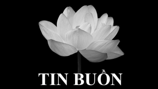 Tin buồn: Đồng chí Đại tá Đoàn Công Hồng từ trần