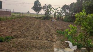 Bán đất trái phép, nguyên Chủ tịch xã cùng lãnh đạo 3 thôn bị khởi tố