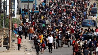 Israel nhất trí ngừng bắn nhân đạo tại Dải Gaza